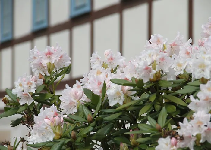 Felsenkeller Bielatal 公寓 Rosenthal-Bielatal